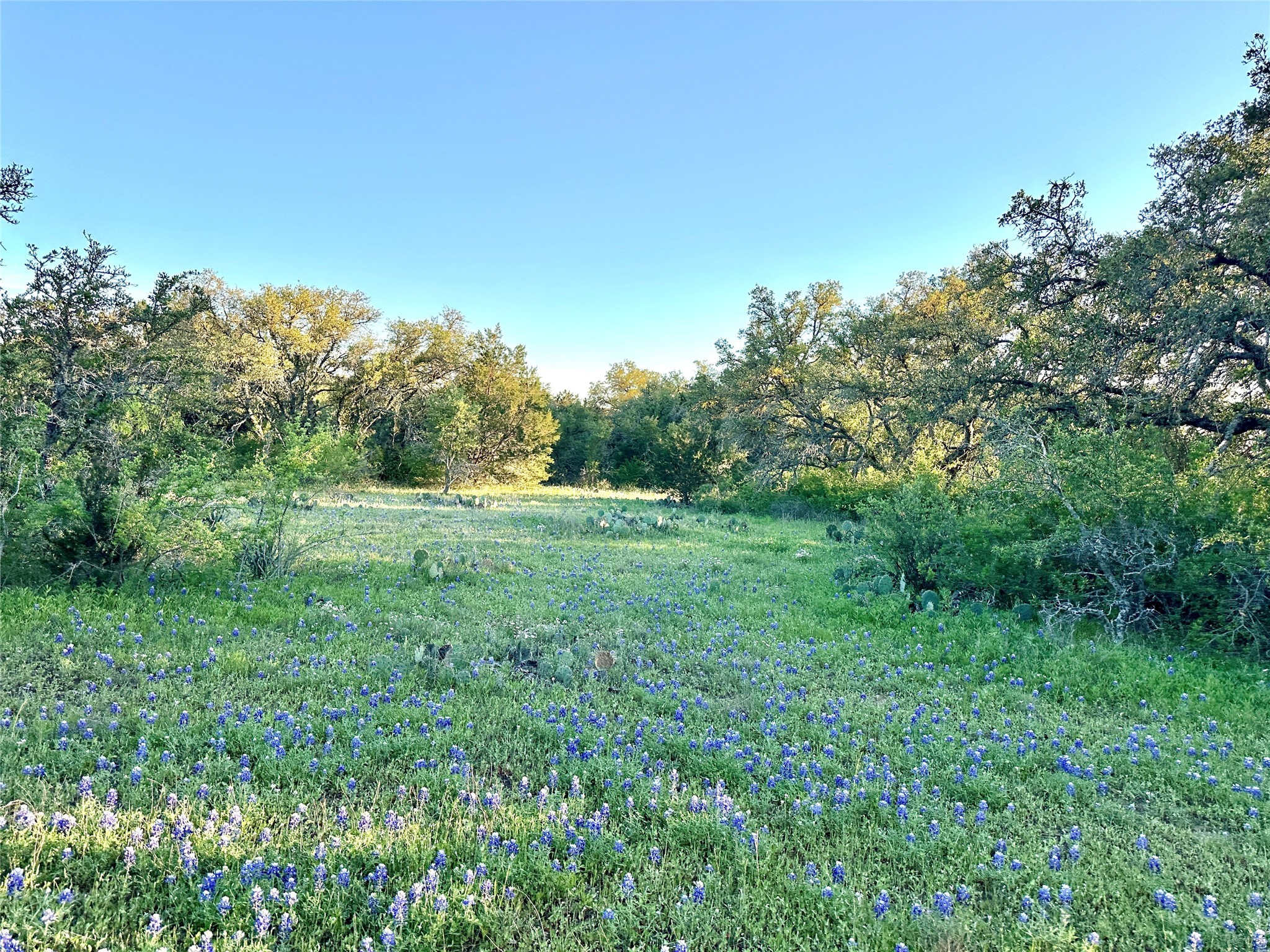 1868 Highway 84 W Mullin TX 76864