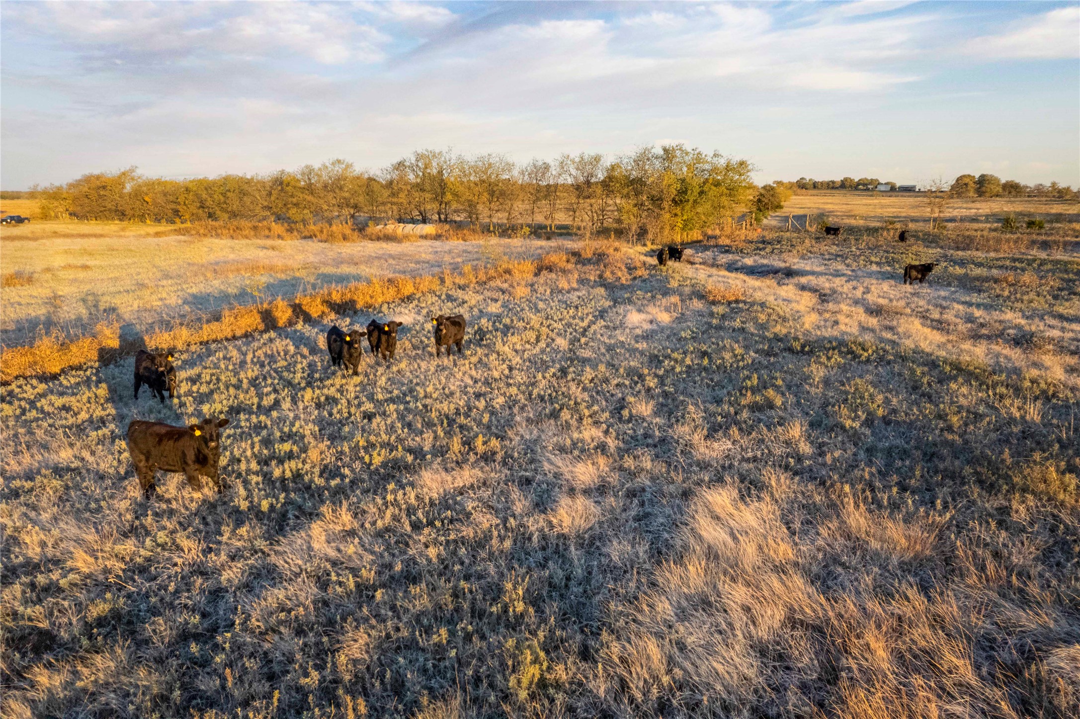 WPLOT003 County Road 218 Gainesville TX 76240