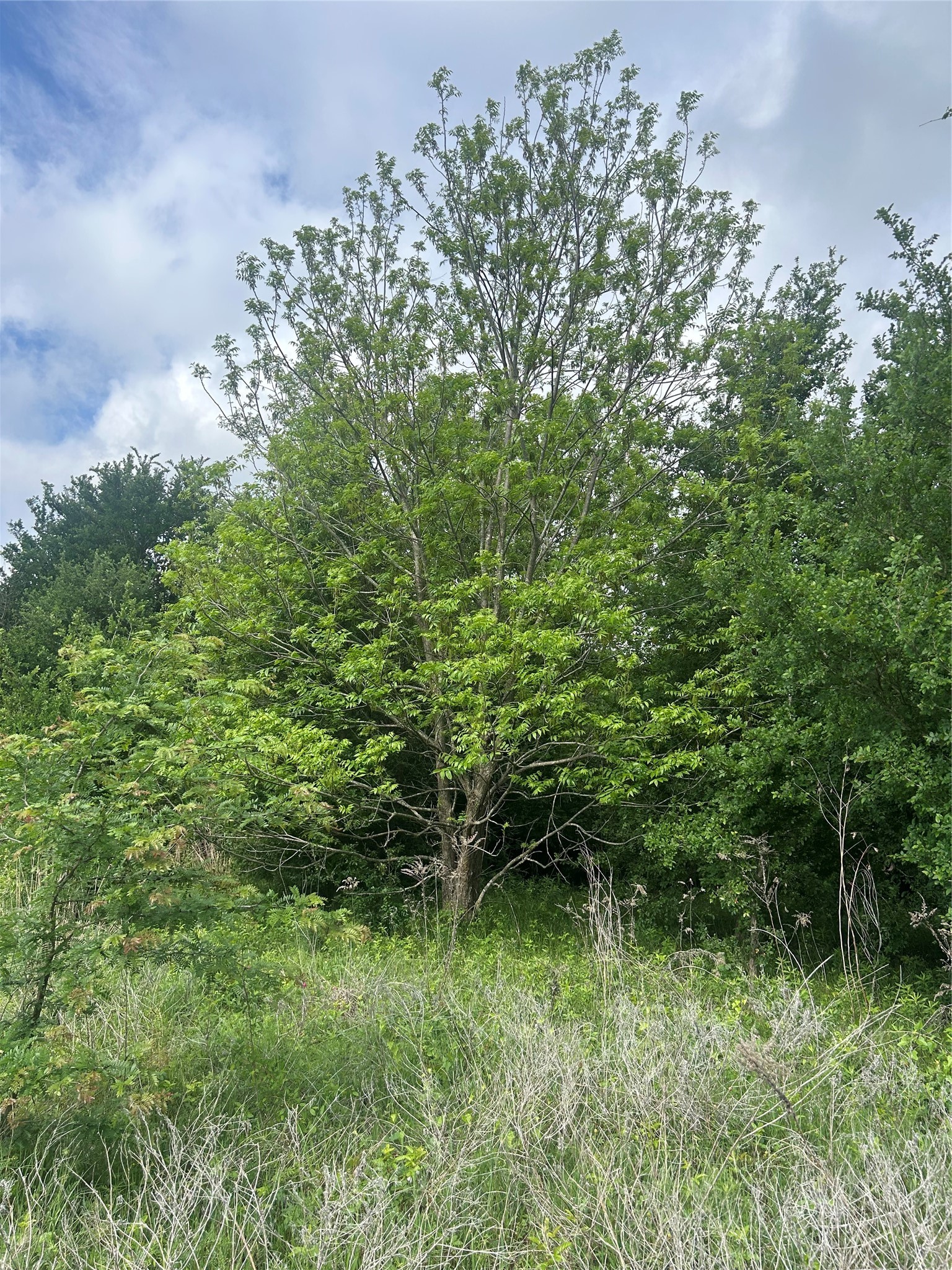 Tbd Hcr 3352 Hubbard TX 76648