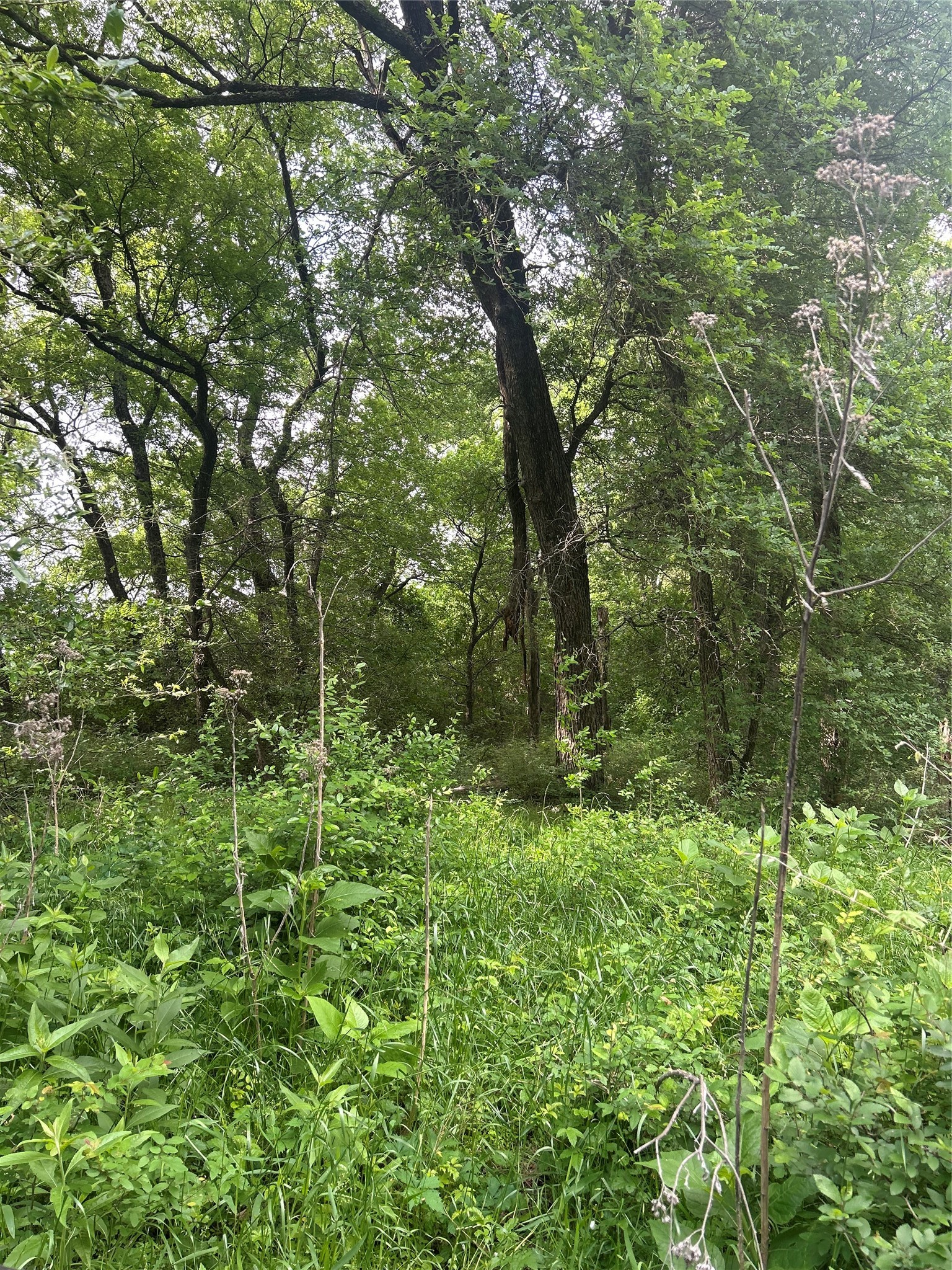Tbd Hcr 3352 Hubbard TX 76648