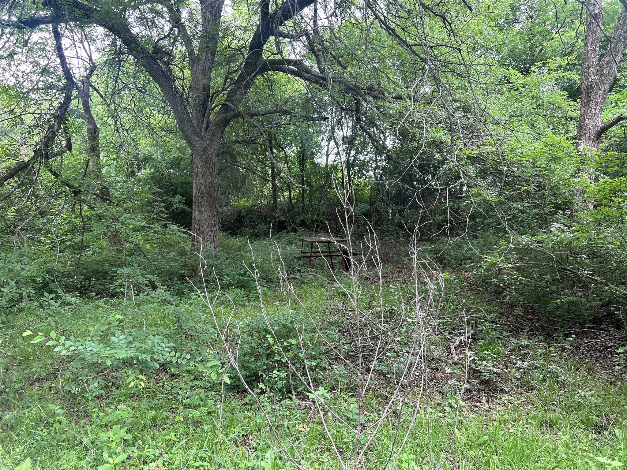 Tbd Hcr 3352 Hubbard TX 76648