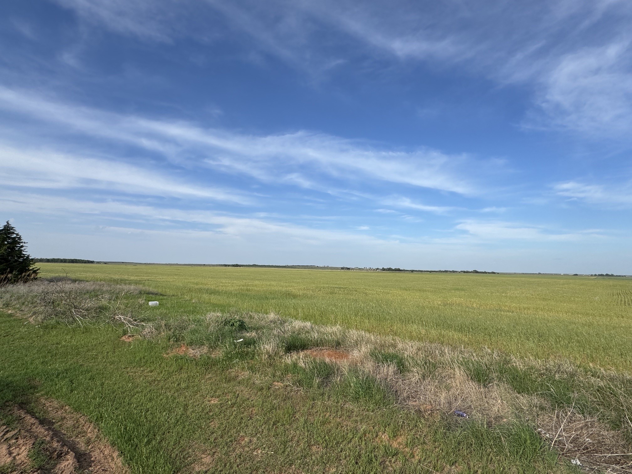 2160 Cr 110 Seymour TX 76380