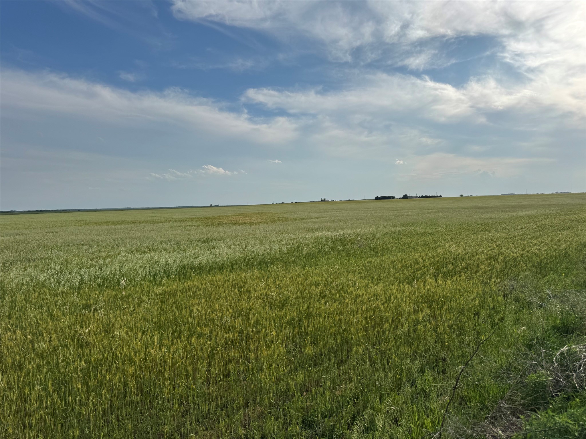 2160 Cr 110 Seymour TX 76380