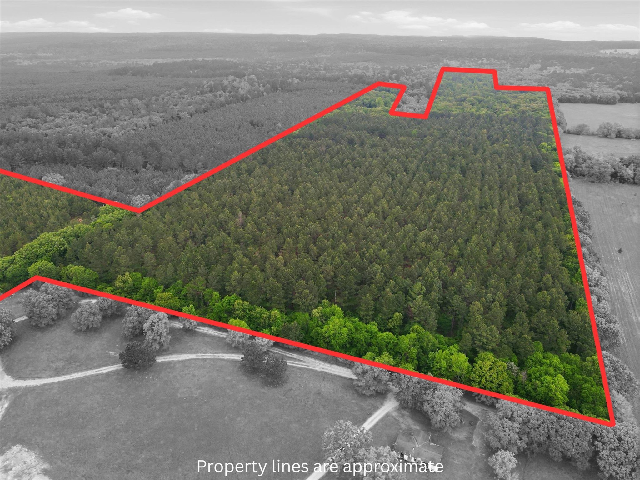 000 County Road 3824 Hawkins TX 75765