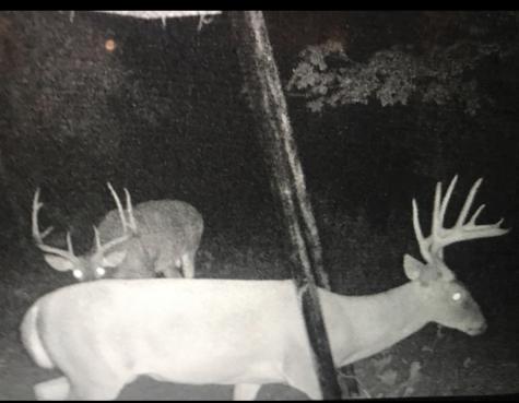000 County Road 3824 Hawkins TX 75765