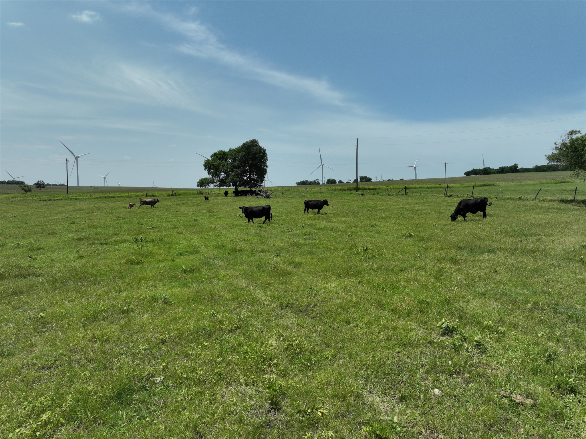 1630 Fm 1198 Muenster TX 76252