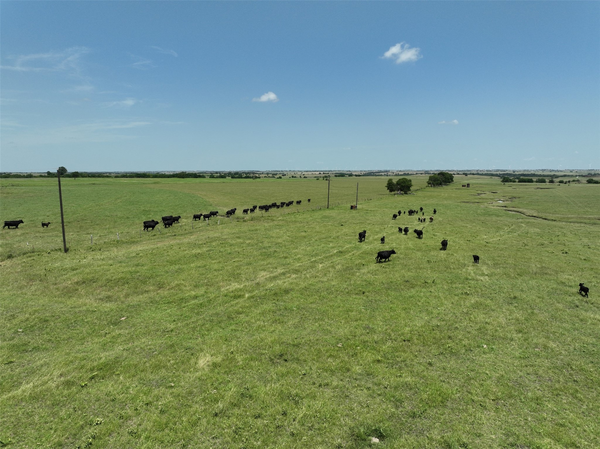 1630 Fm 1198 Muenster TX 76252