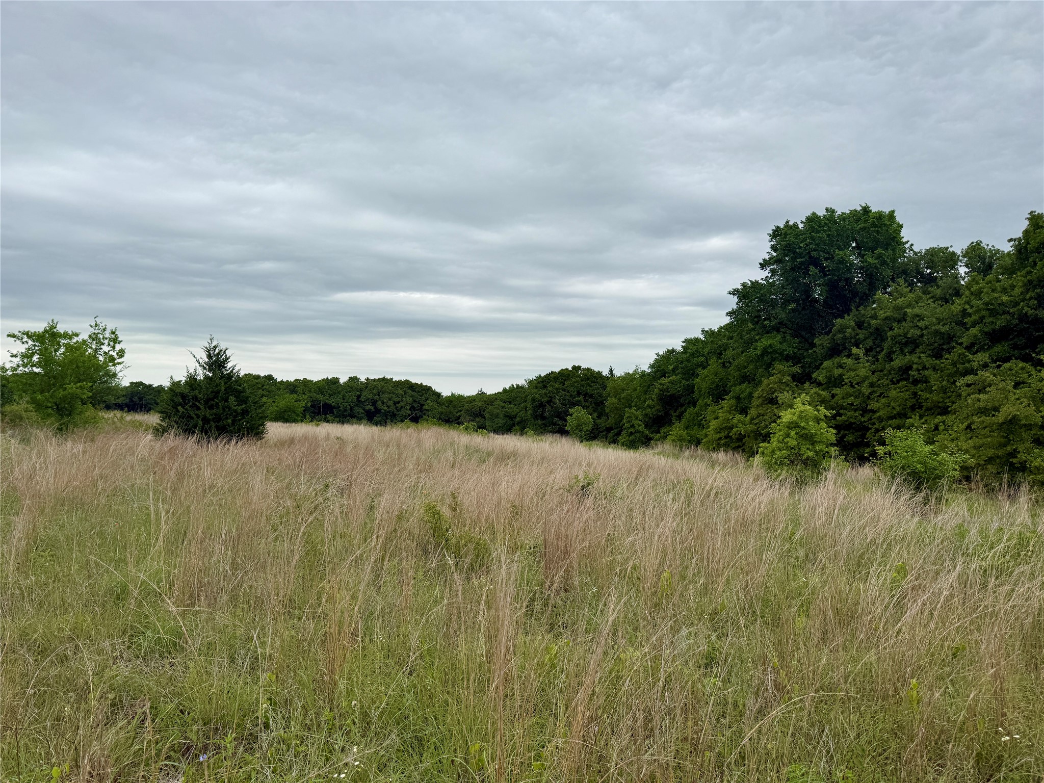 261 Catholic Cemetery Road Montague TX 76251