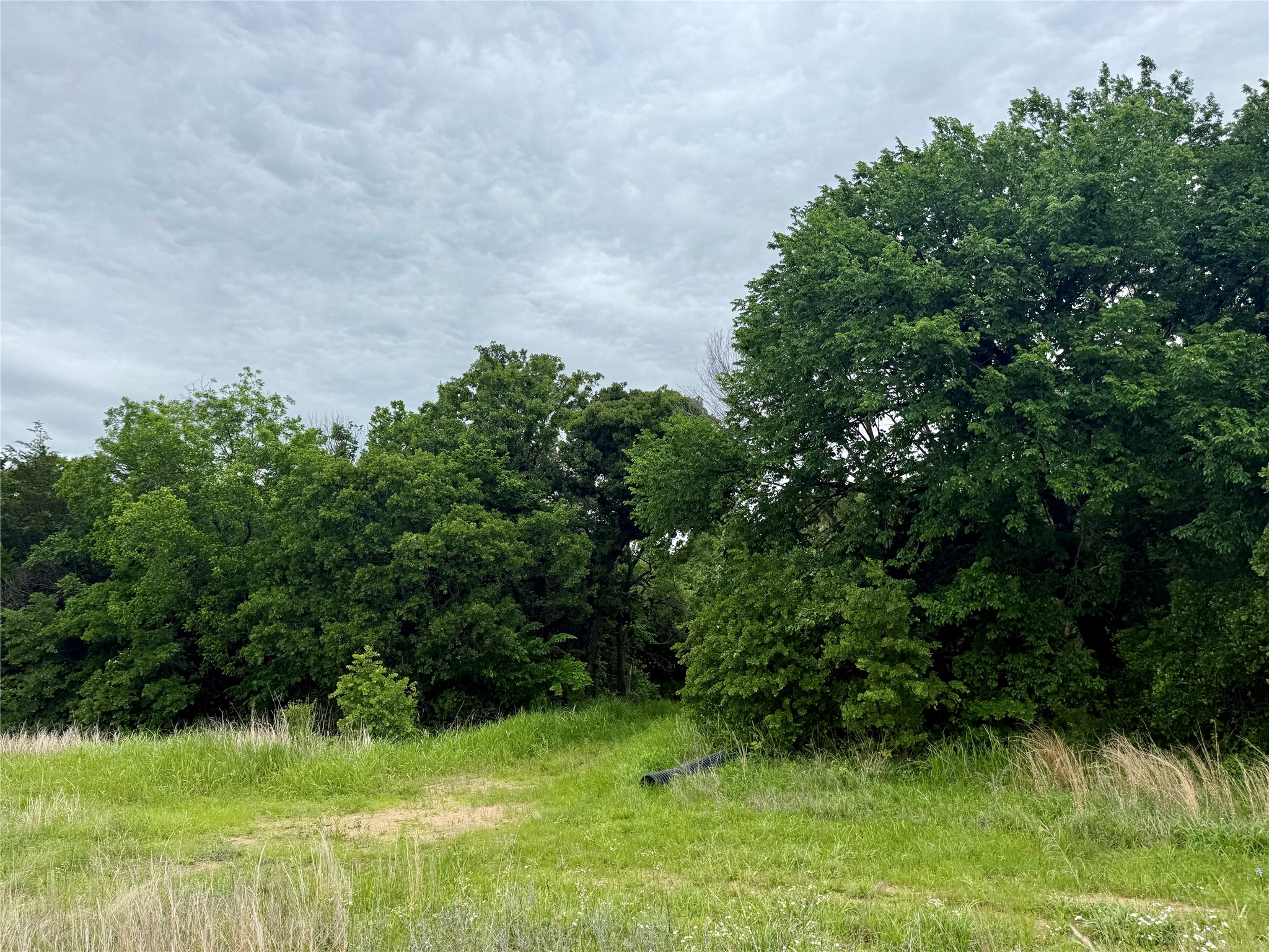 261 Catholic Cemetery Road Montague TX 76251