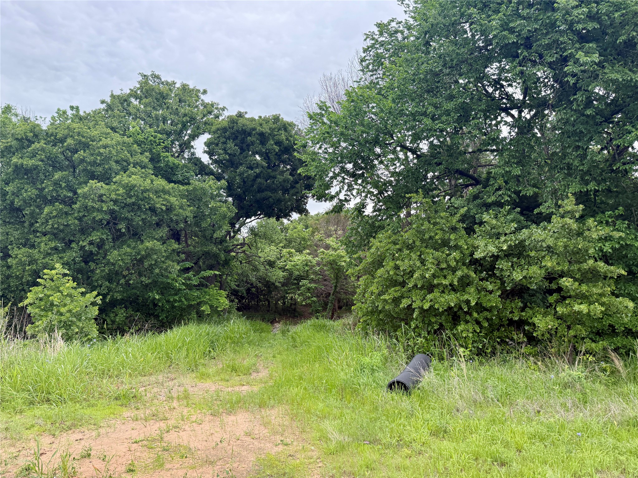 261 Catholic Cemetery Road Montague TX 76251