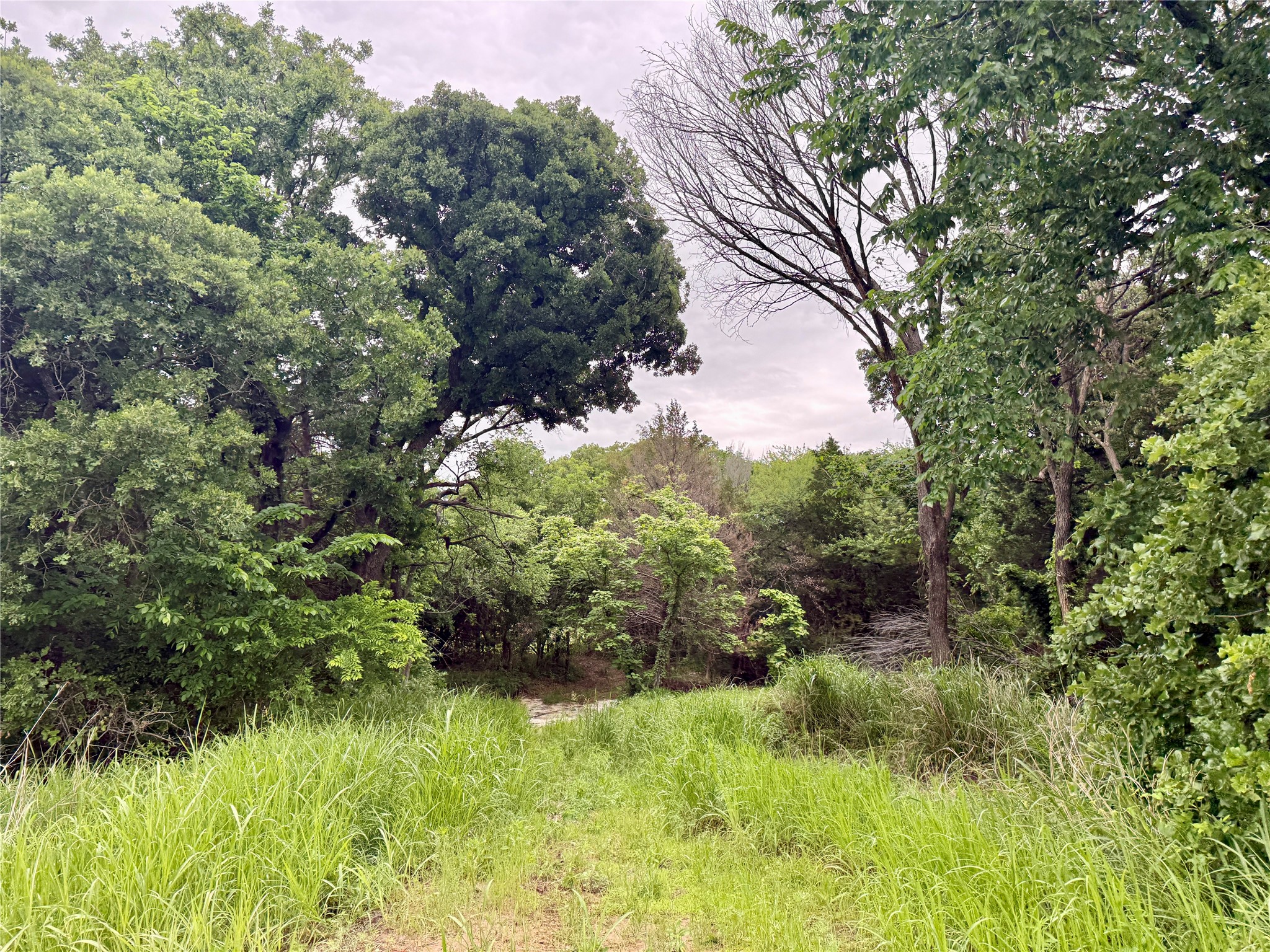 261 Catholic Cemetery Road Montague TX 76251