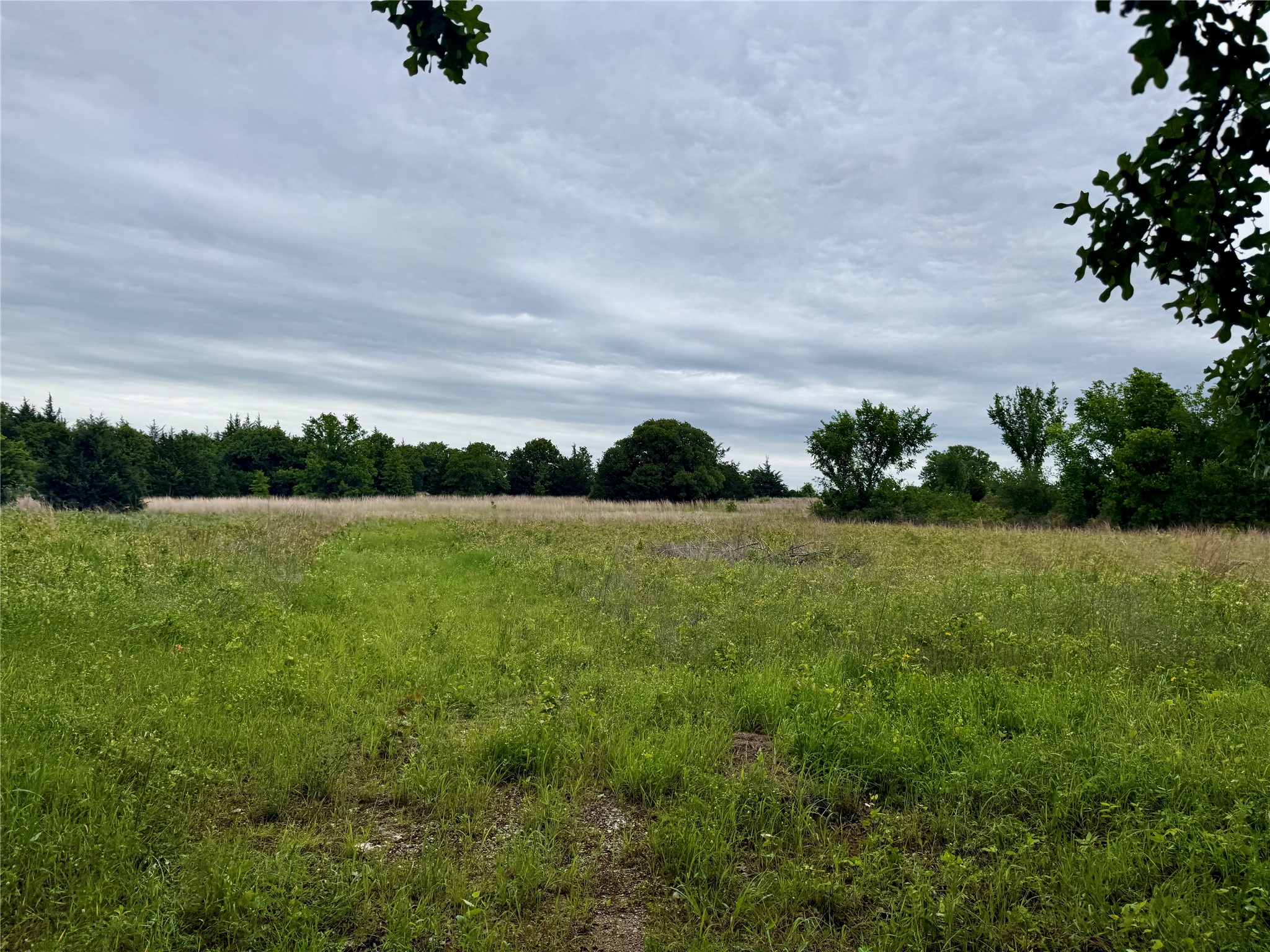 261 Catholic Cemetery Road Montague TX 76251