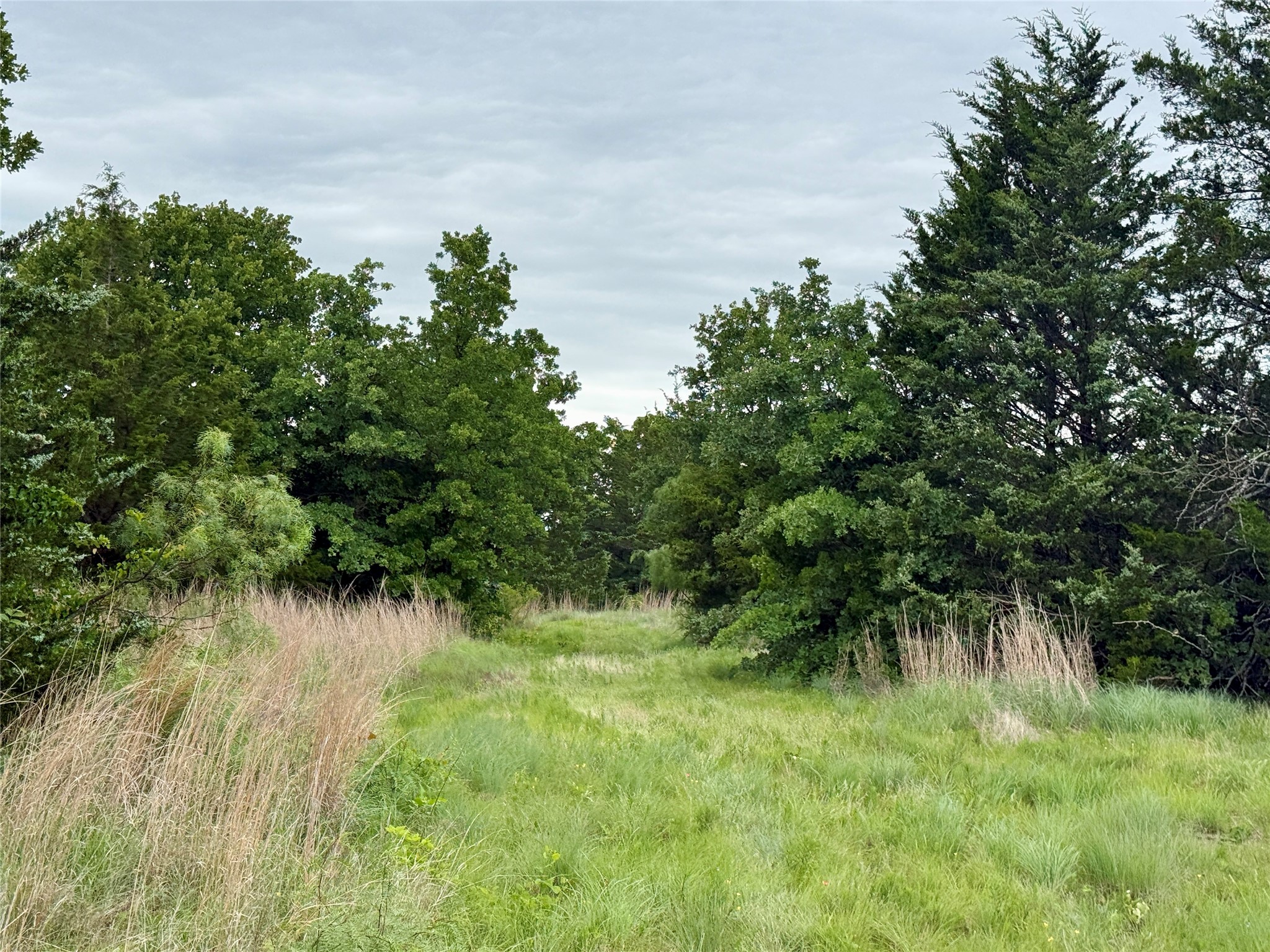 261 Catholic Cemetery Road Montague TX 76251