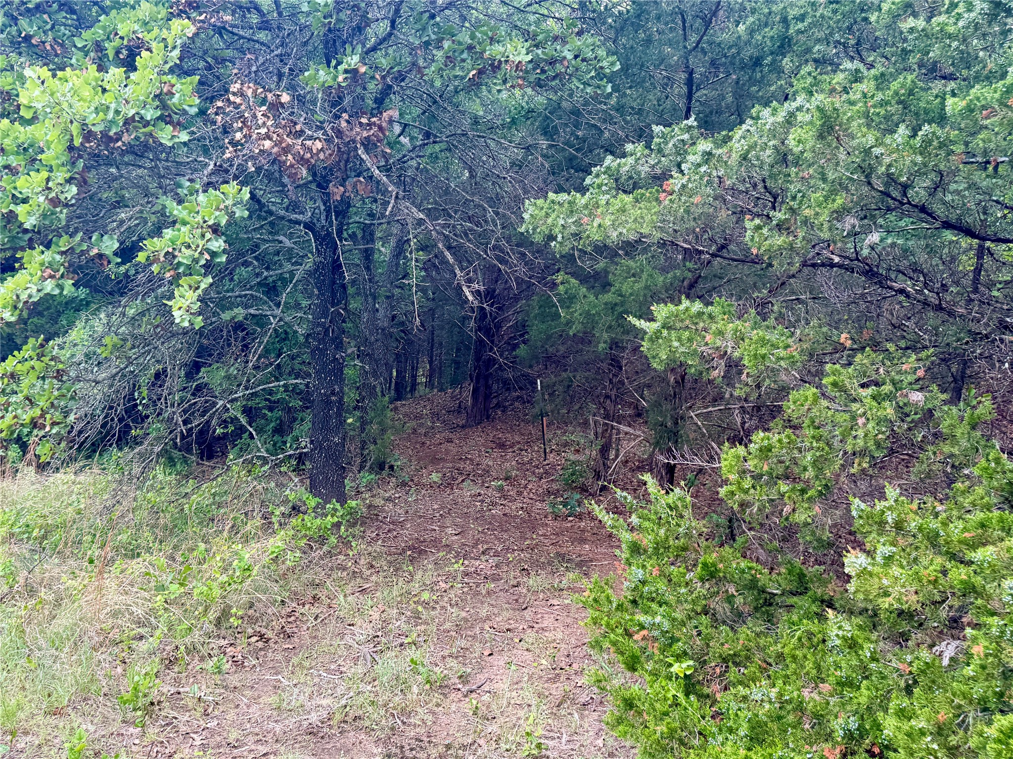 261 Catholic Cemetery Road Montague TX 76251