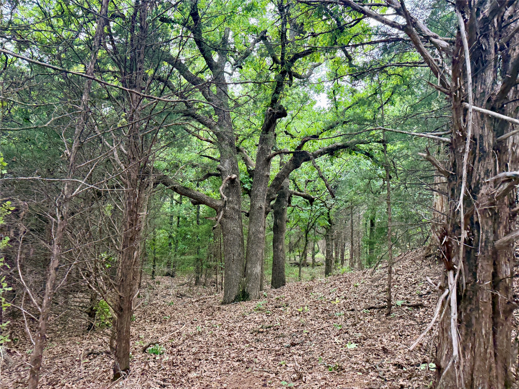 261 Catholic Cemetery Road Montague TX 76251