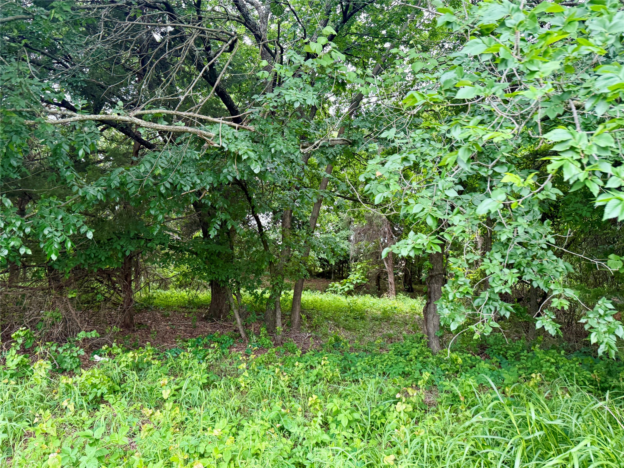 261 Catholic Cemetery Road Montague TX 76251