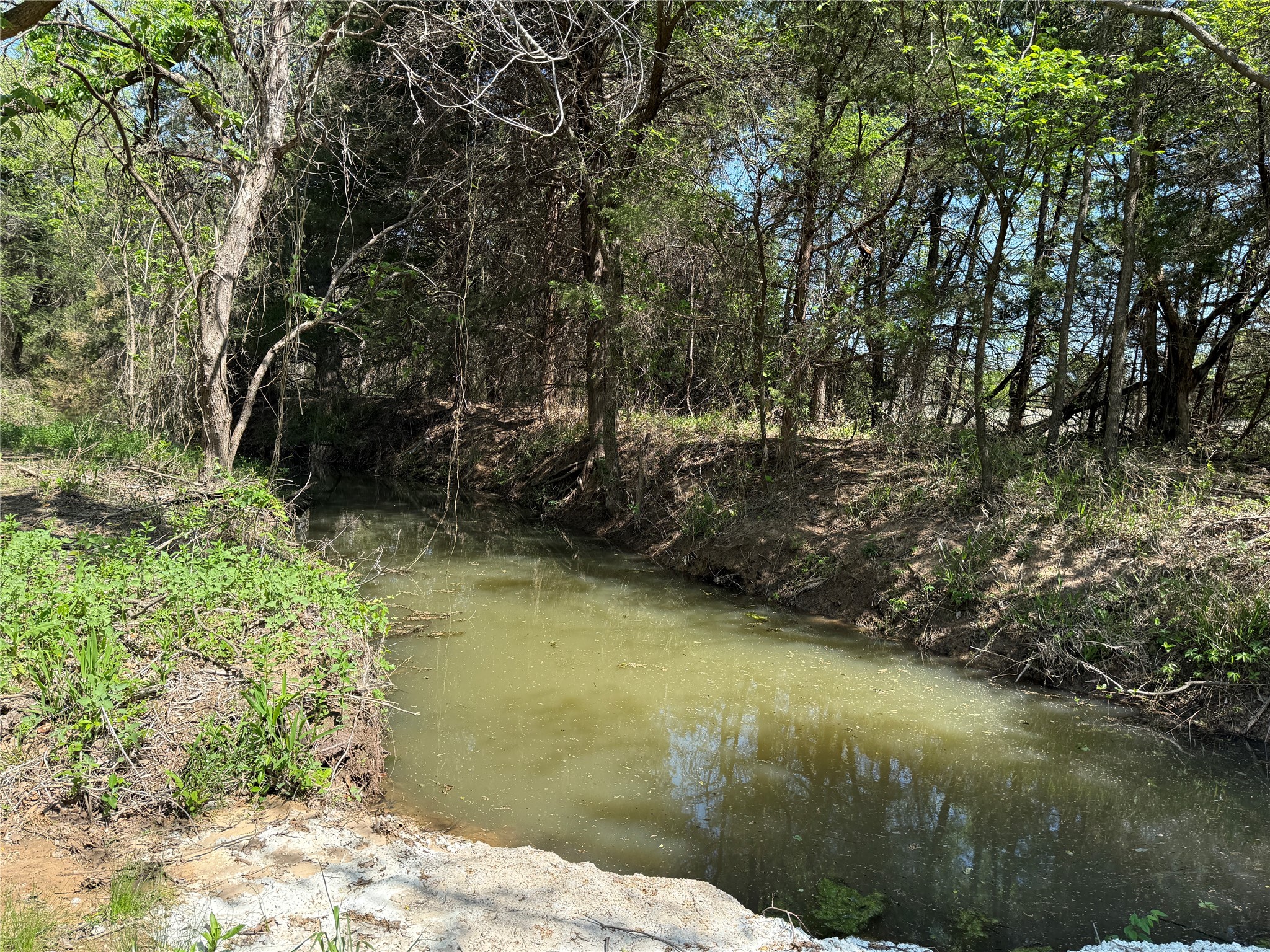 261 Catholic Cemetery Road Montague TX 76251