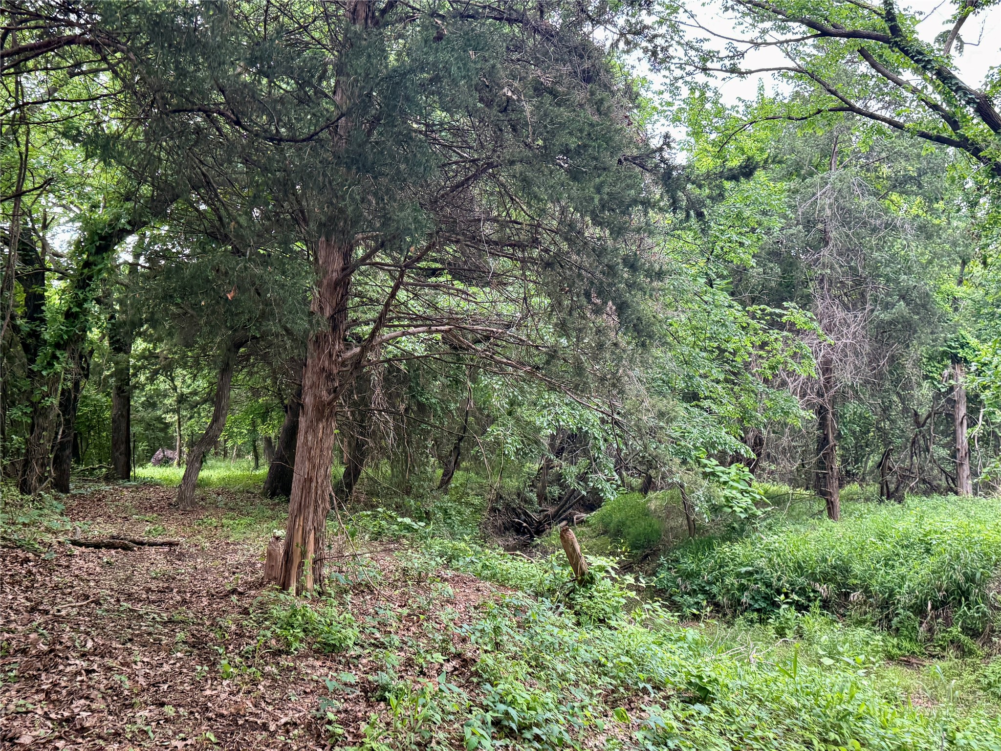261 Catholic Cemetery Road Montague TX 76251