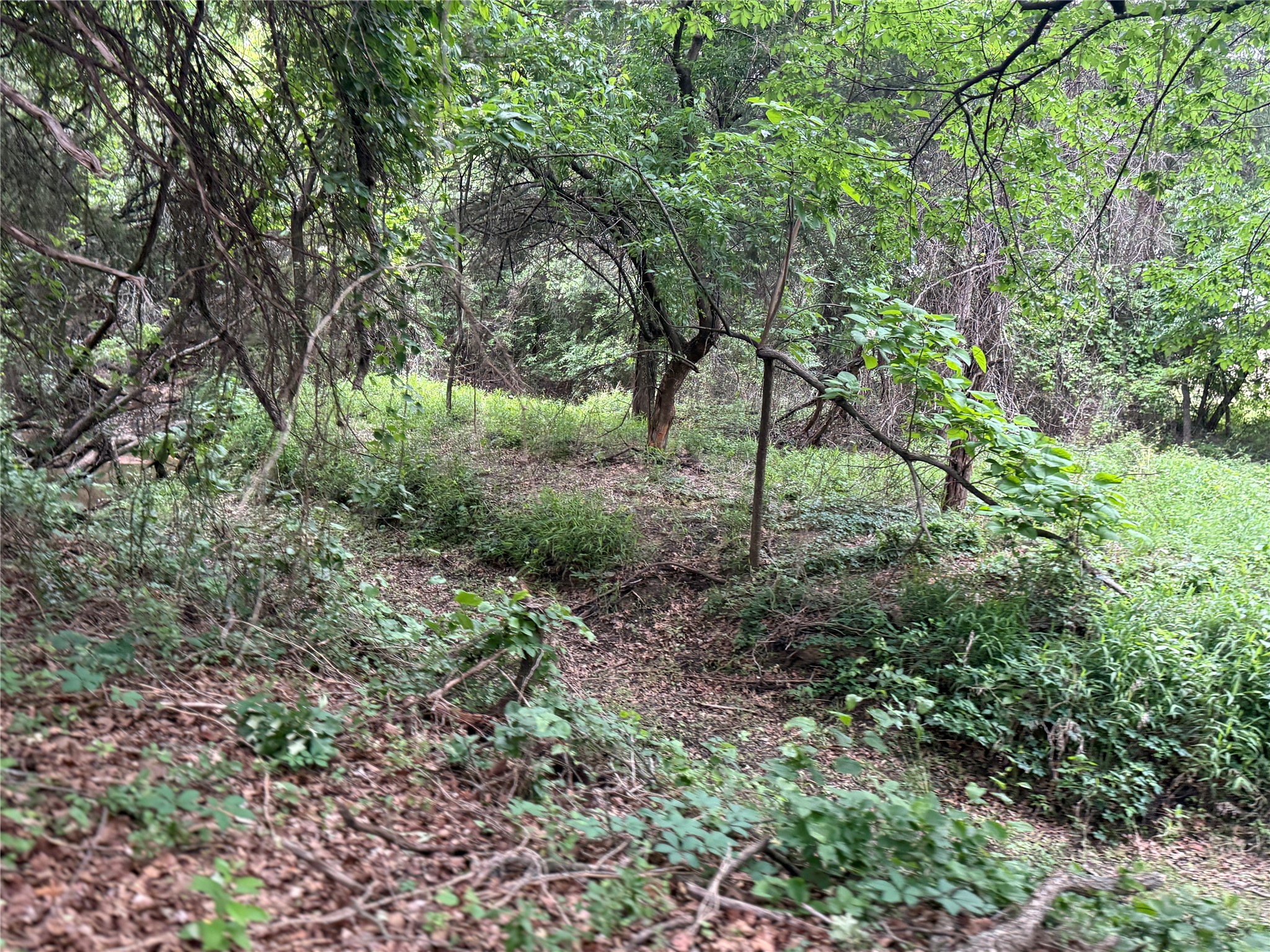 261 Catholic Cemetery Road Montague TX 76251