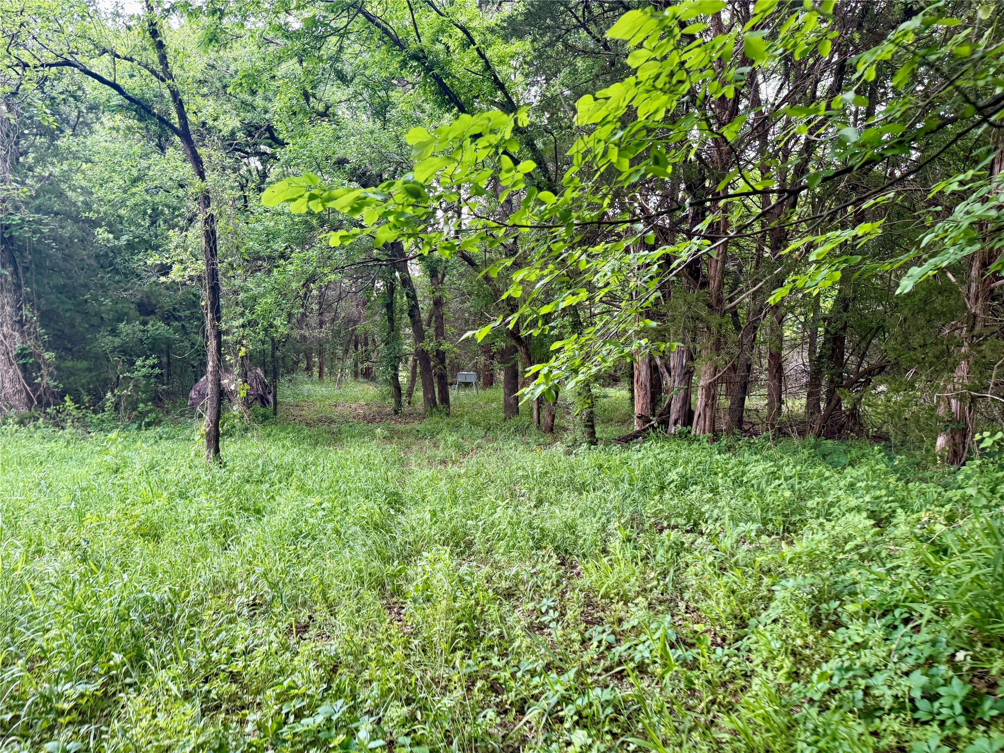 261 Catholic Cemetery Road Montague TX 76251