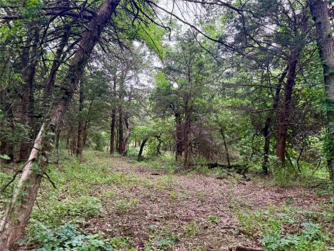 261 Catholic Cemetery Road Montague TX 76251