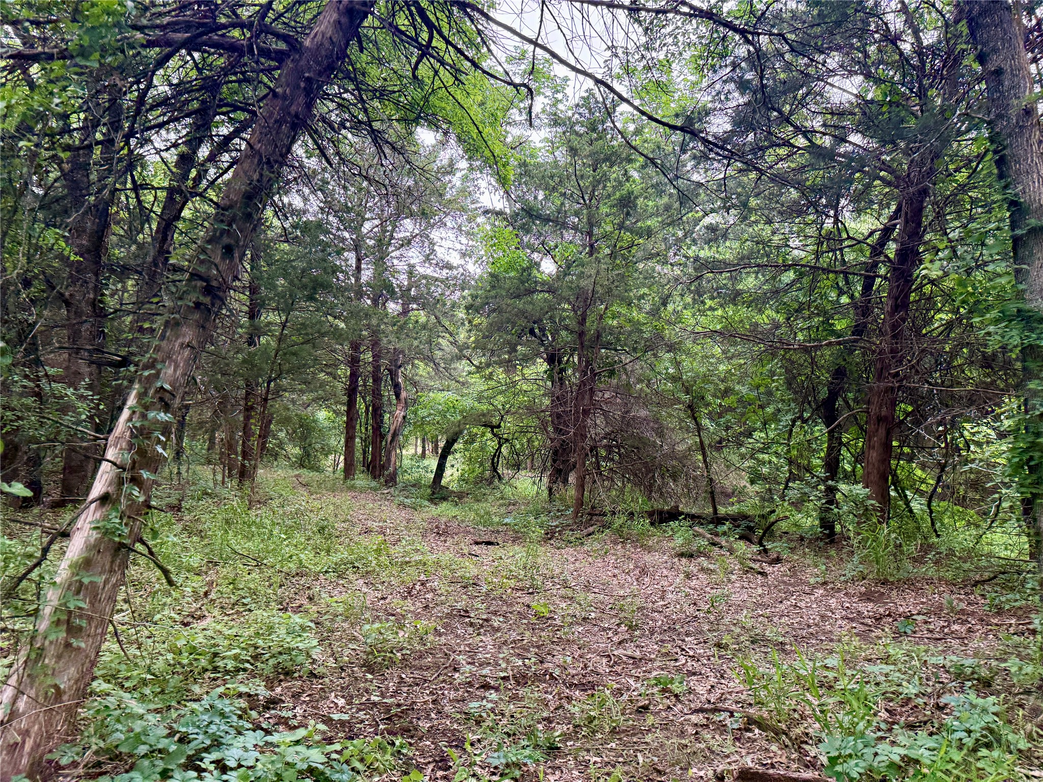261 Catholic Cemetery Road Montague TX 76251