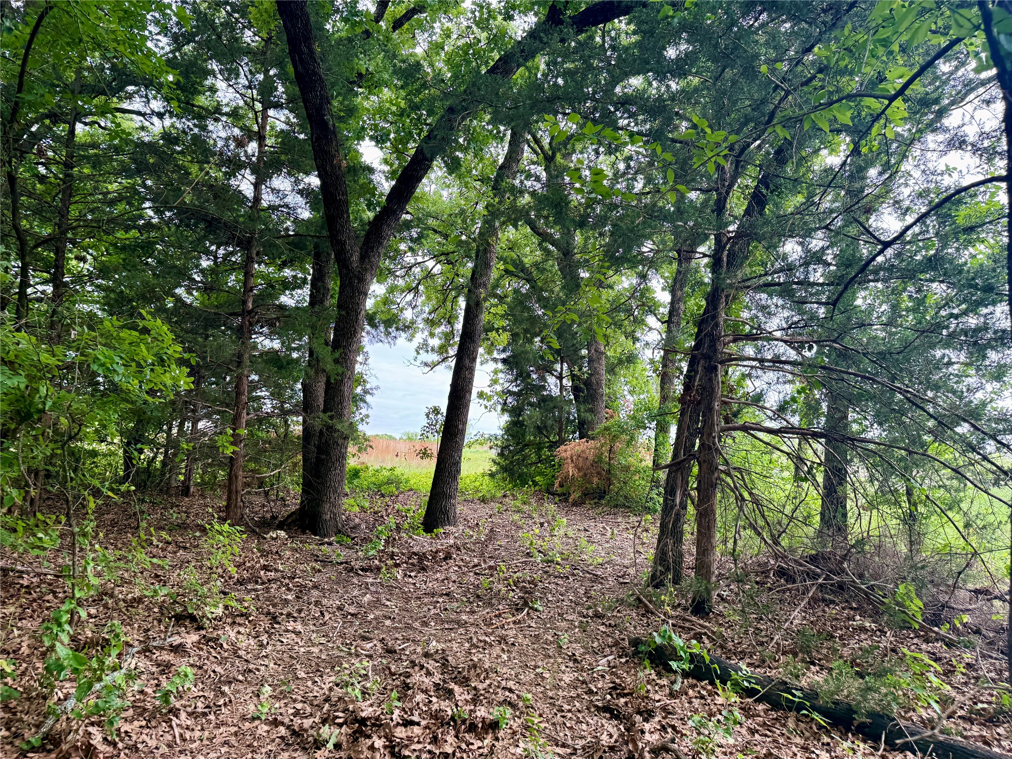 261 Catholic Cemetery Road Montague TX 76251