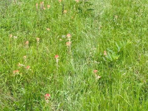 261 Catholic Cemetery Road Montague TX 76251