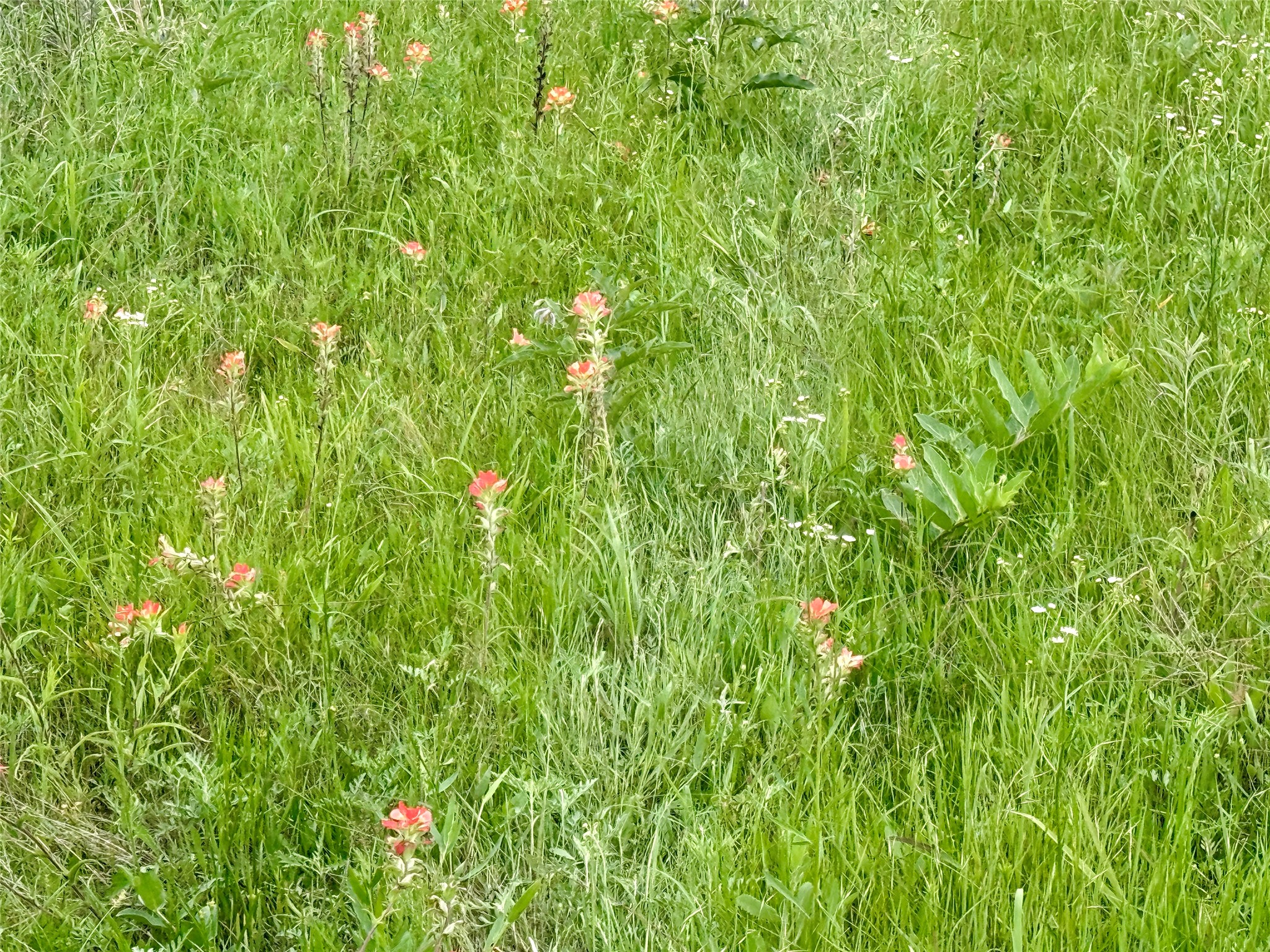 261 Catholic Cemetery Road Montague TX 76251