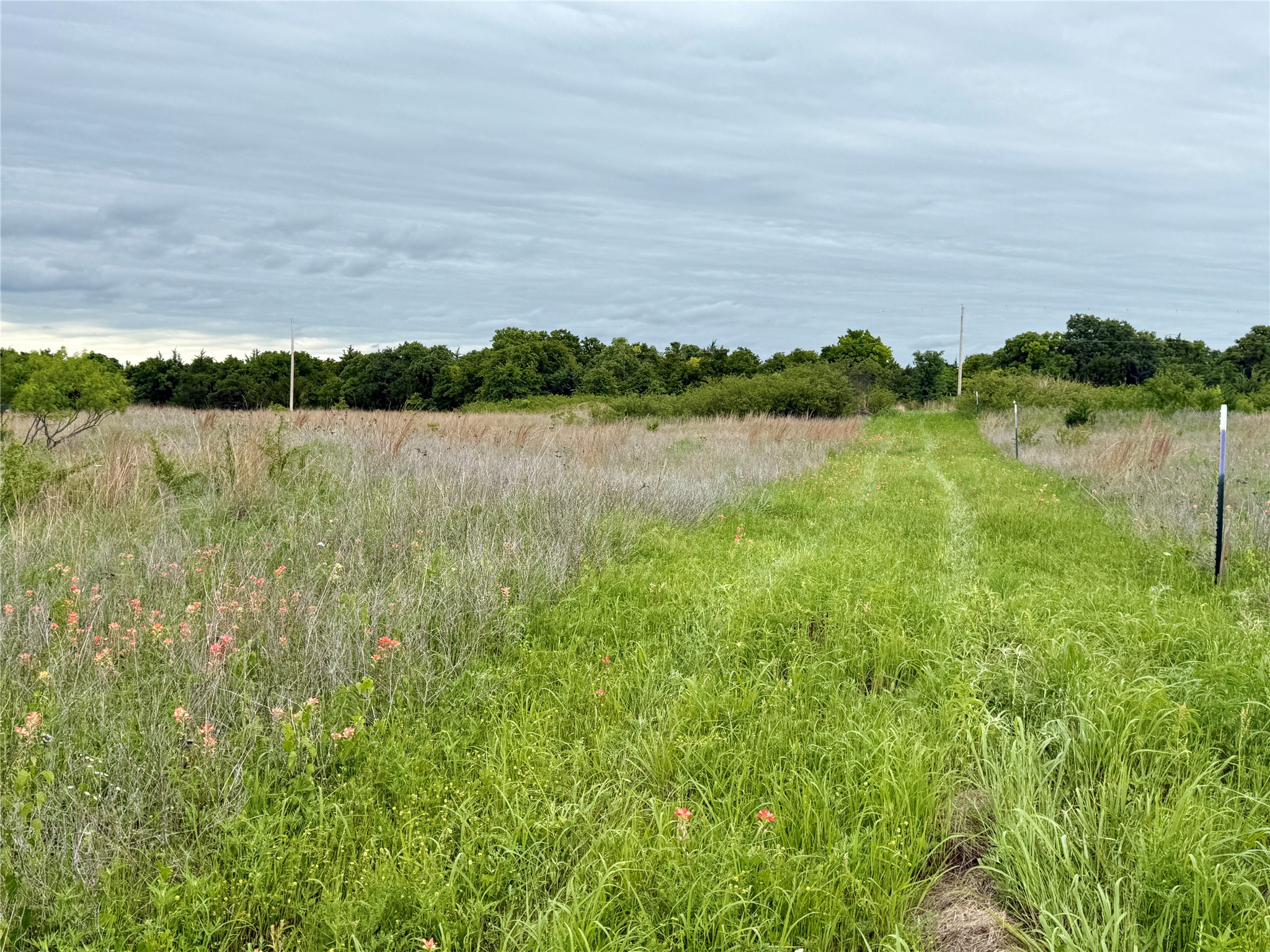 261 Catholic Cemetery Road Montague TX 76251
