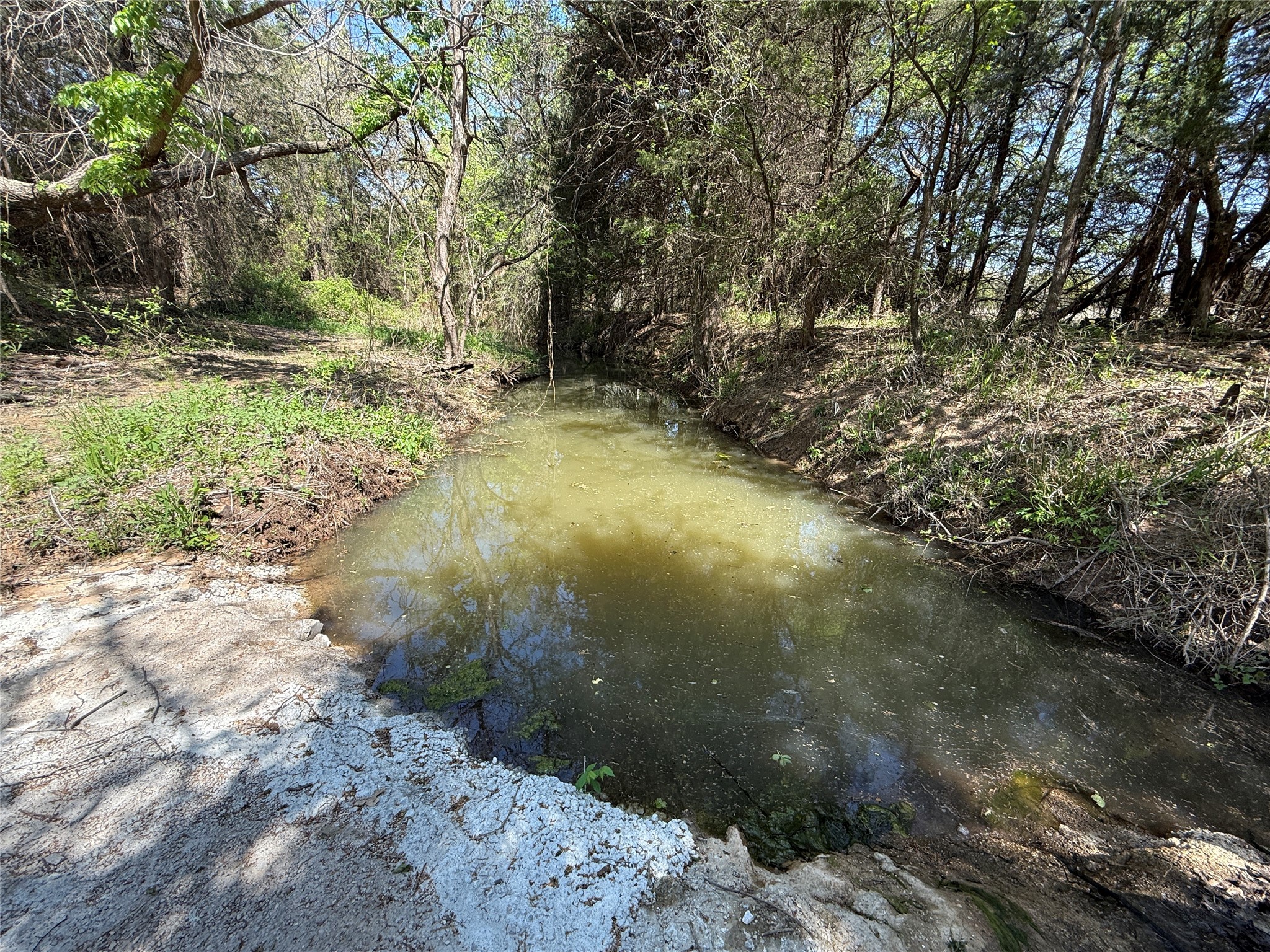 261 Catholic Cemetery Road Montague TX 76251