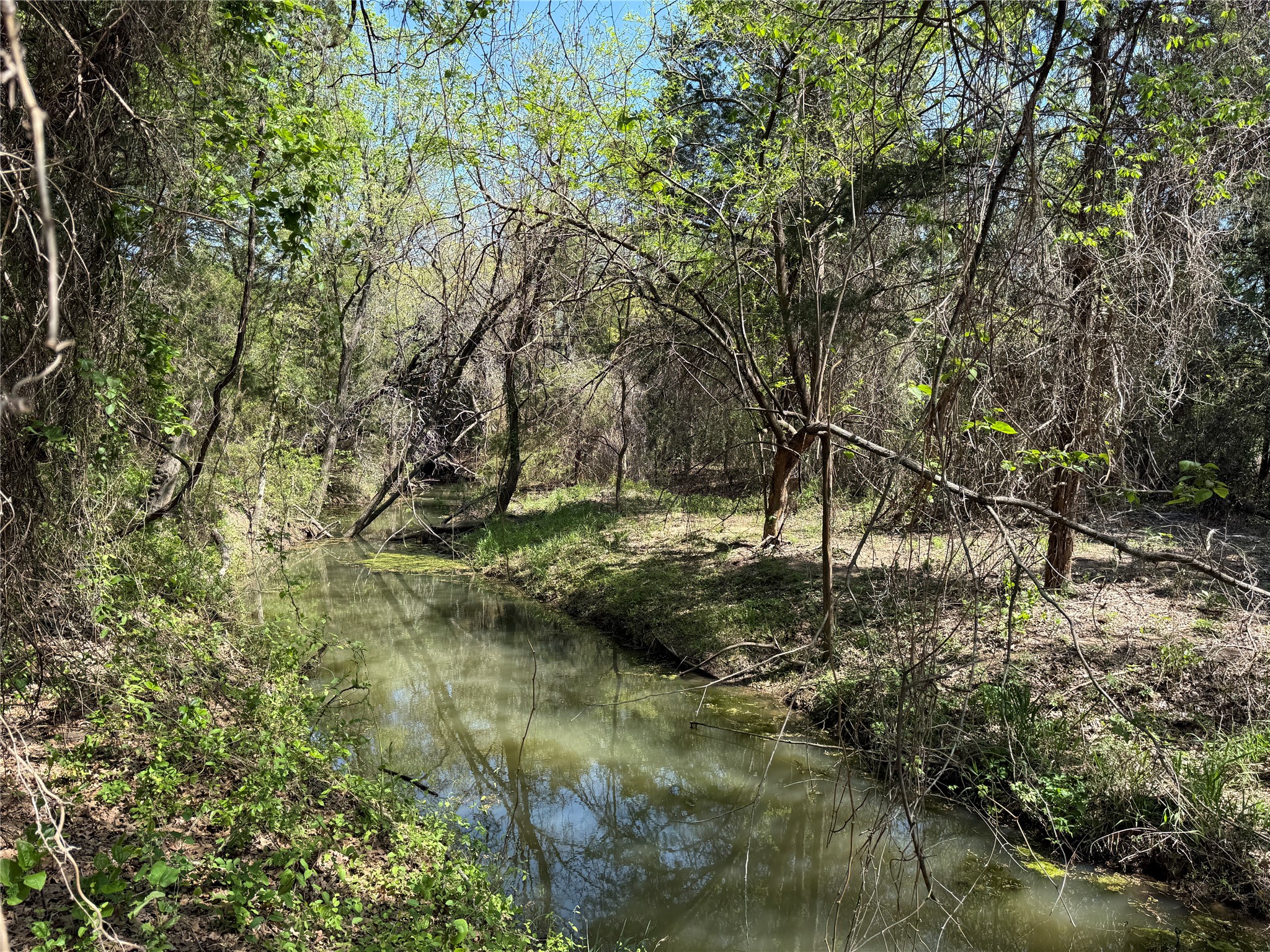 261 Catholic Cemetery Road Montague TX 76251
