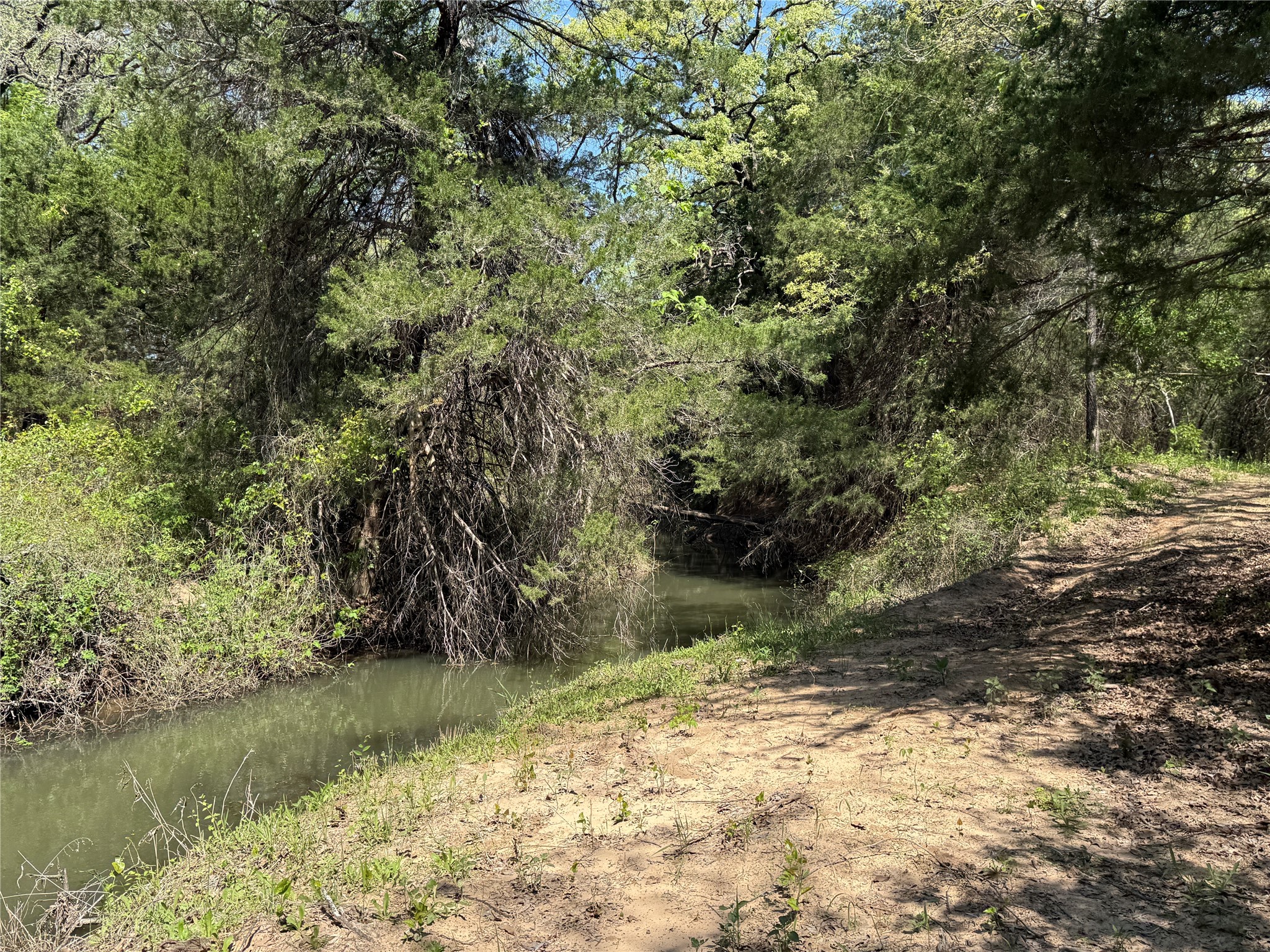 261 Catholic Cemetery Road Montague TX 76251