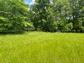 TBD 7 Fm 1848 Buffalo TX 75831