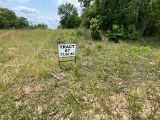 TBD 7 Fm 1848 Buffalo TX 75831