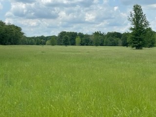 Tbd 7 Fm 1848 Buffalo TX 75831