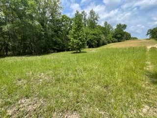 Tbd 7 Fm 1848 Buffalo TX 75831