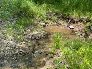 Tbd 7 Fm 1848 Buffalo TX 75831