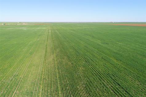 TBD County Rd 81 S Vernon TX 76384