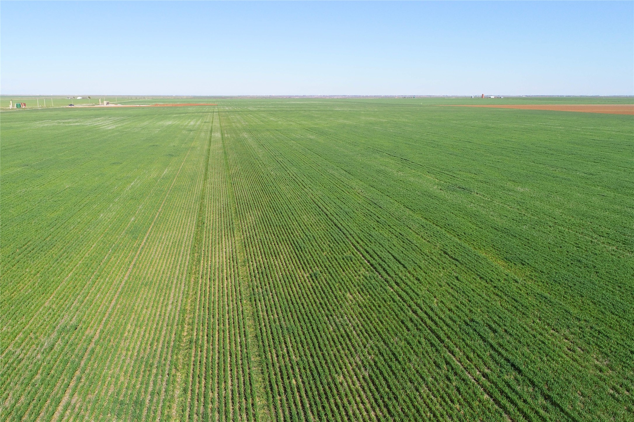 Tbd County Rd 81 S Vernon TX 76384