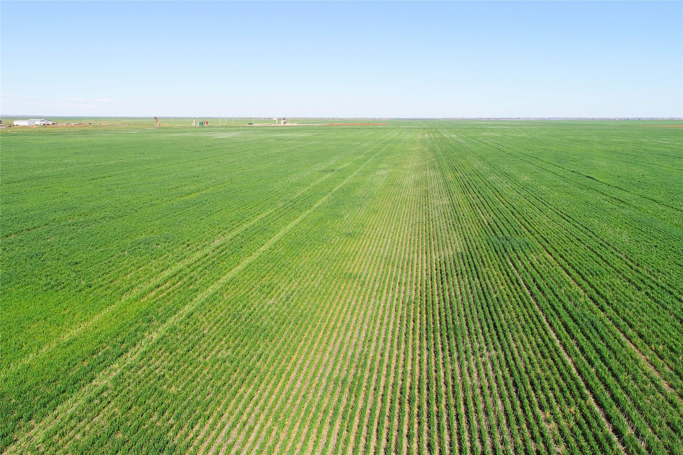 Tbd County Rd 81 S Vernon TX 76384