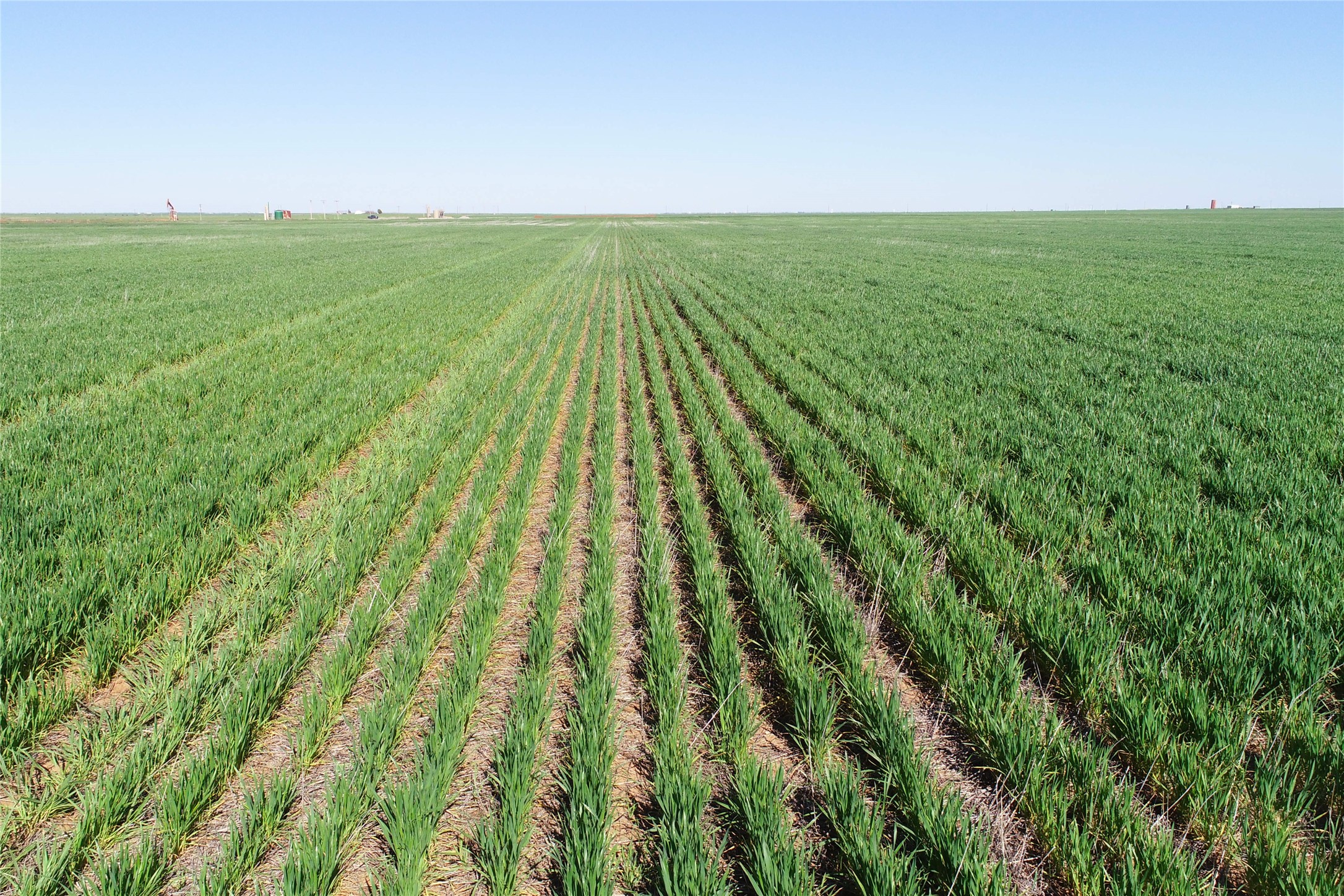 Tbd County Rd 81 S Vernon TX 76384