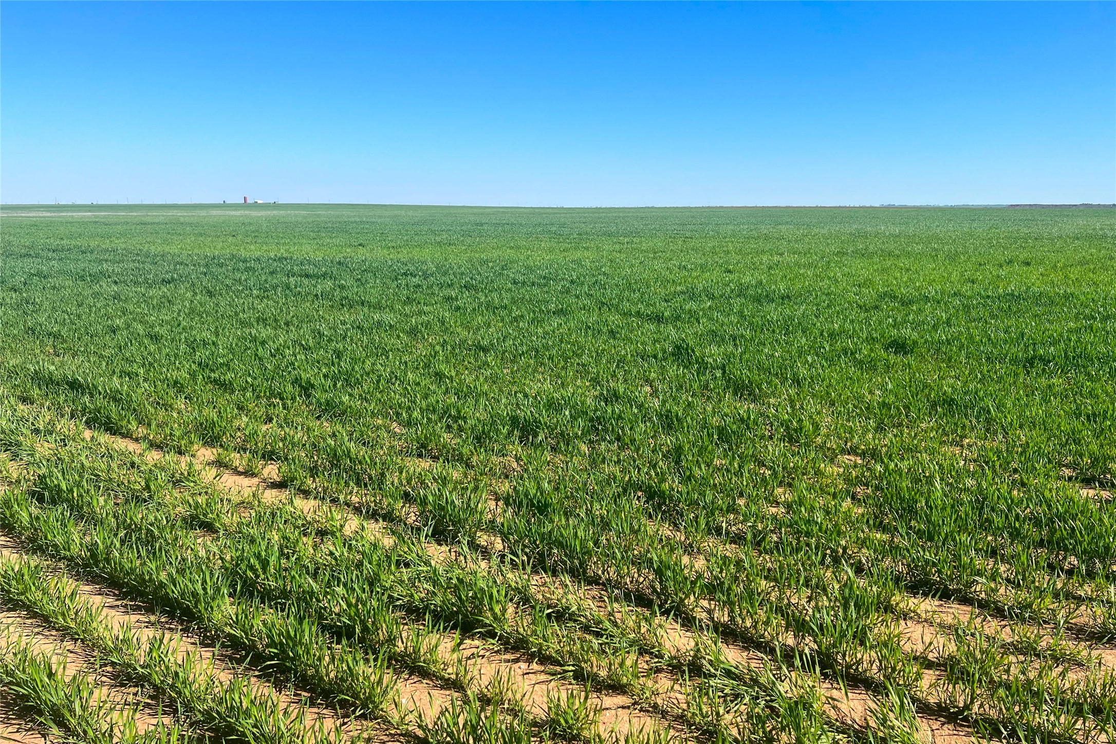 Tbd County Rd 81 S Vernon TX 76384