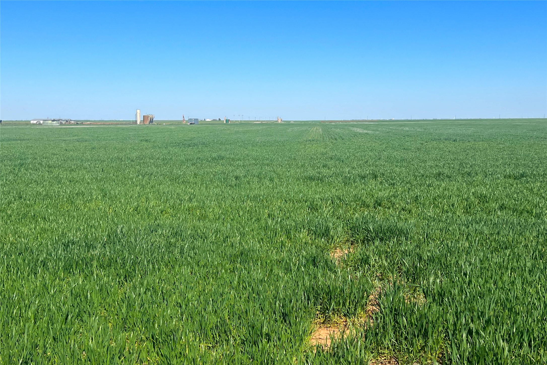 Tbd County Rd 81 S Vernon TX 76384