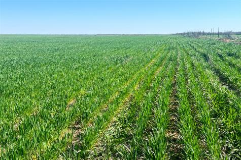 Tbd County Rd 81 S Vernon TX 76384