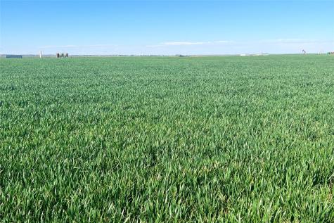 Tbd County Rd 81 S Vernon TX 76384