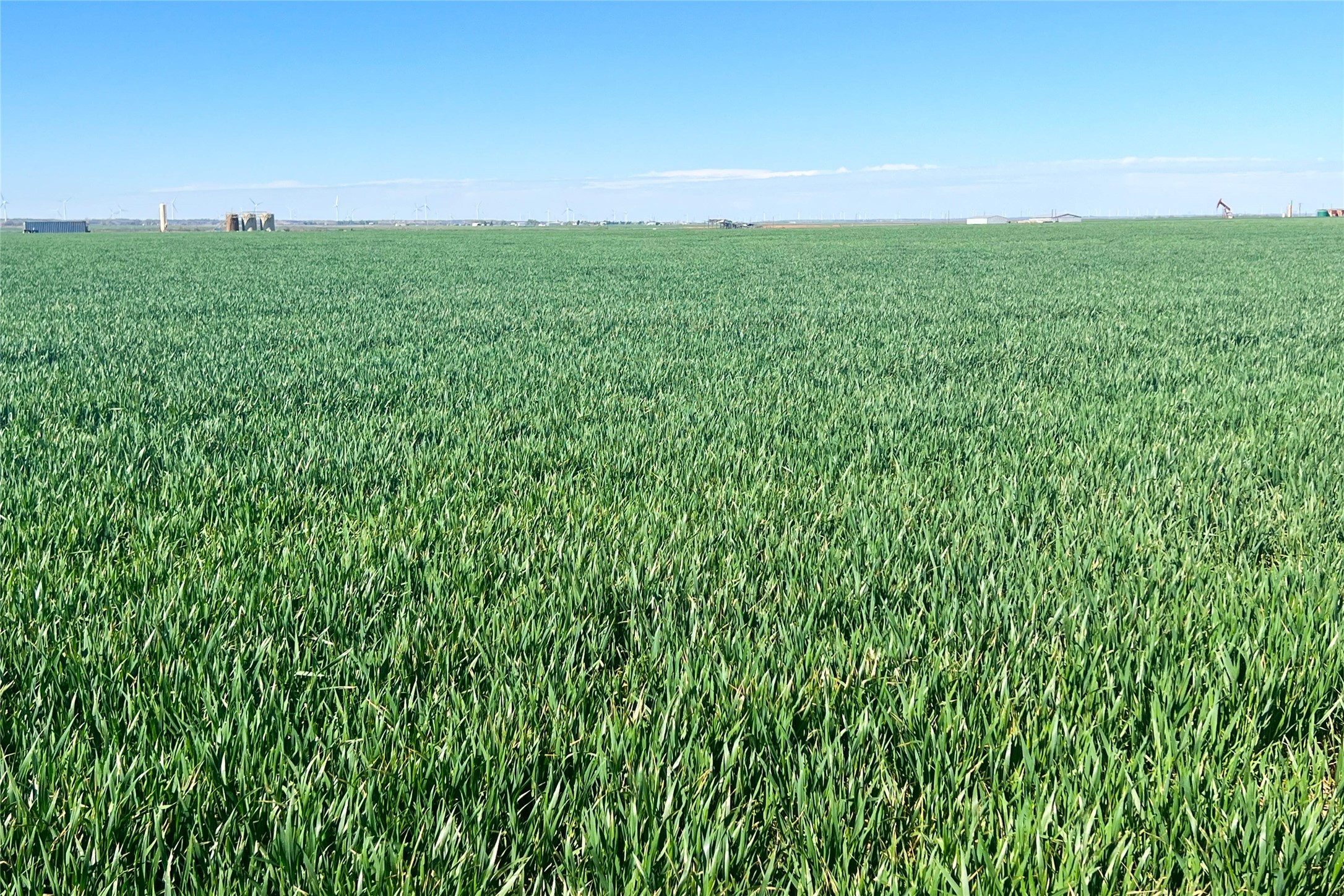 Tbd County Rd 81 S Vernon TX 76384