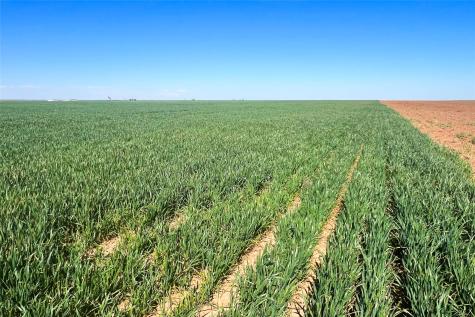 Tbd County Rd 81 S Vernon TX 76384