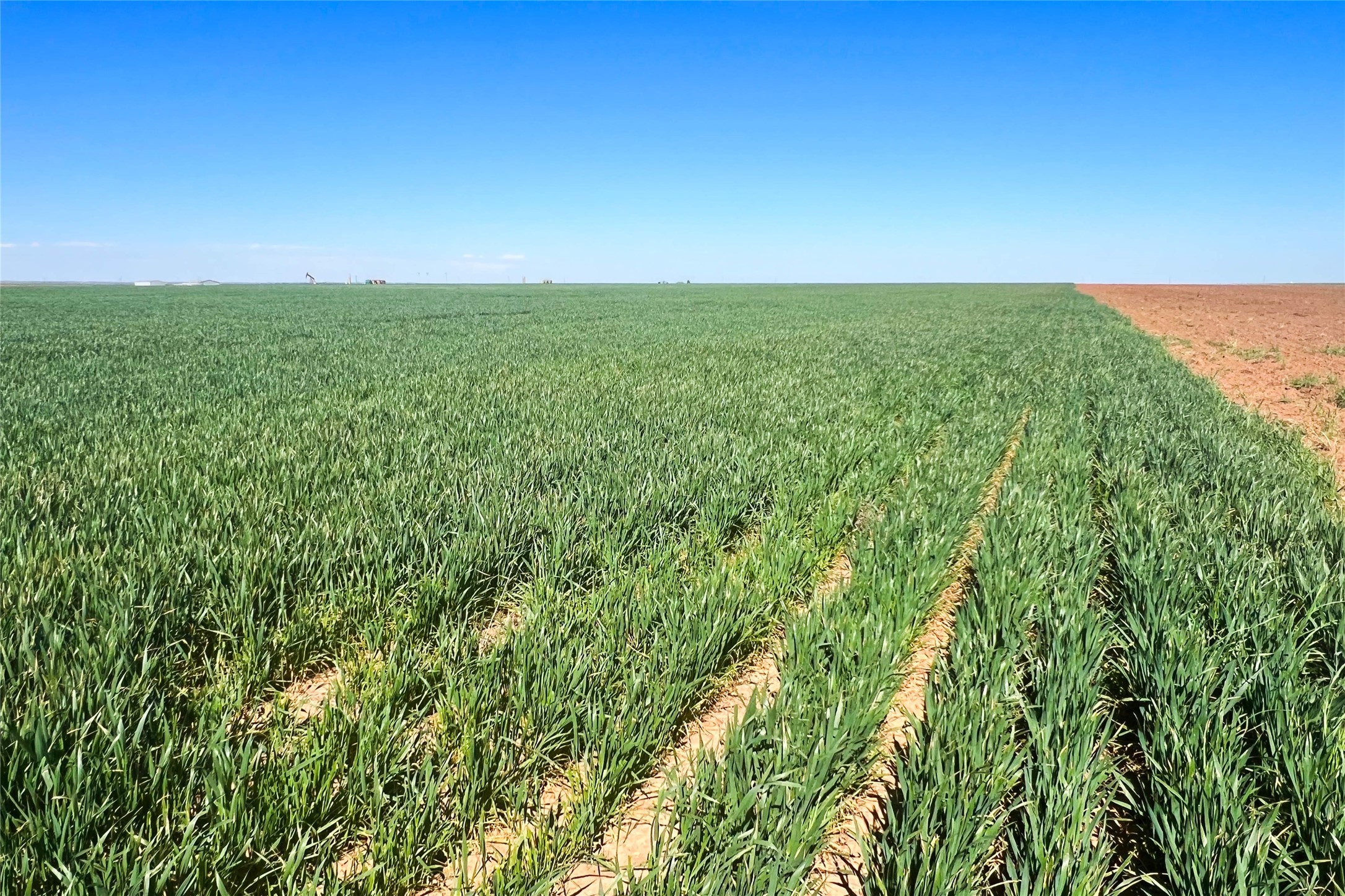 Tbd County Rd 81 S Vernon TX 76384