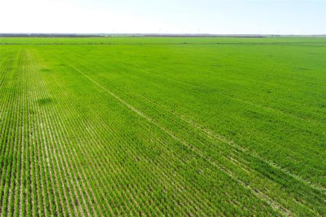 TBD County Rd 81 S Vernon TX 76384